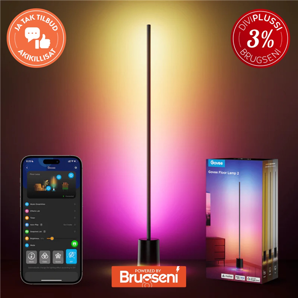 Govee Floor Lamp 2